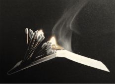 Evolution 040